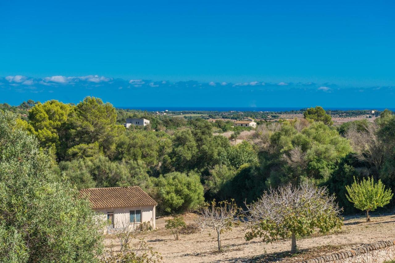 Finca Son Colom マナコル エクステリア 写真